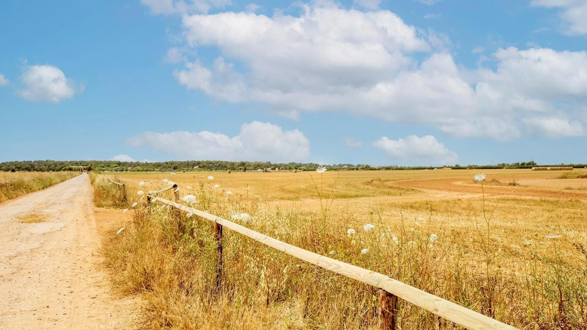 Possessio Sa Barrala El Taller Campos  Tatil Evi Campos (Mallorca)